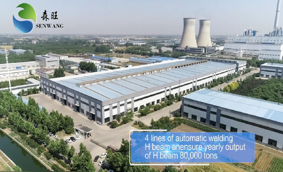 Tòa nhà cấu trúc thép tùy chỉnh, Tòa nhà khung thép kẽm / sơn