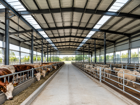 Ống trần tải sống 035kn M2 Cấu trúc thép nhẹ Cung cấp kho thép Cấu trúc lưu trữ thép bền và giải pháp cho nhu cầu lưu trữ công nghiệp